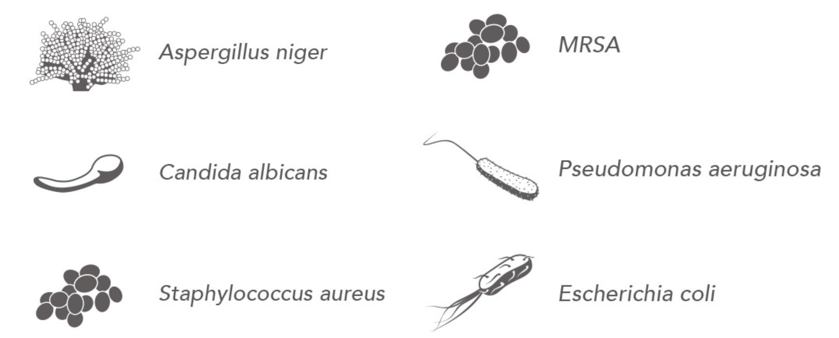 PuraPly AM reduced concentrations of Aspergillus niger, MRSA, Candida albicans, Pseudomonas aeruginosa, Staphylococcus aureus, Escherichia coli in wounds
